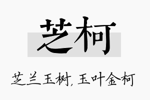 芝柯名字的寓意及含义