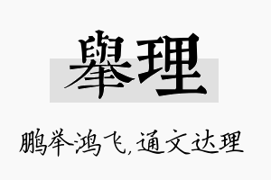 举理名字的寓意及含义