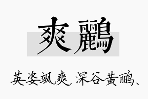 爽鹂名字的寓意及含义