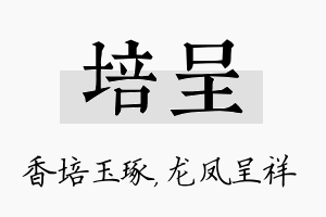 培呈名字的寓意及含义