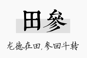 田参名字的寓意及含义