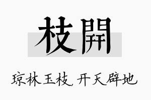 枝开名字的寓意及含义