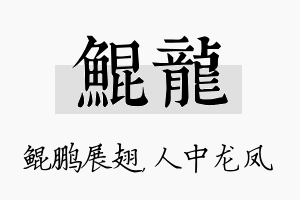 鲲龙名字的寓意及含义