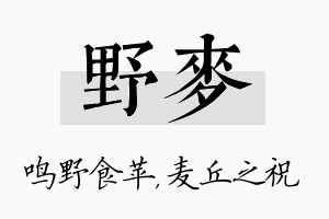 野麦名字的寓意及含义