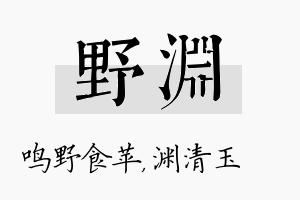 野渊名字的寓意及含义