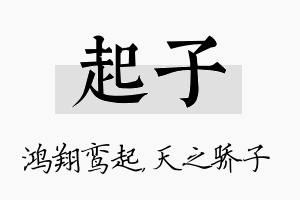 起子名字的寓意及含义