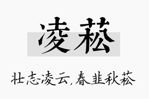 凌菘名字的寓意及含义