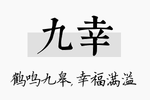 九幸名字的寓意及含义