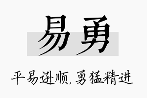 易勇名字的寓意及含义