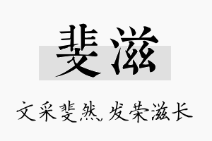 斐滋名字的寓意及含义