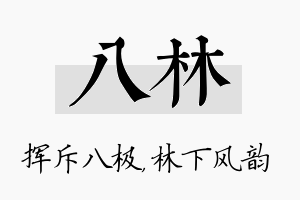 八林名字的寓意及含义