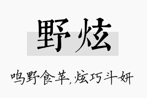 野炫名字的寓意及含义