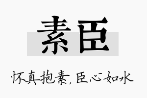 素臣名字的寓意及含义