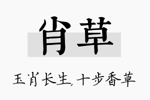 肖草名字的寓意及含义