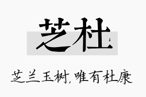 芝杜名字的寓意及含义