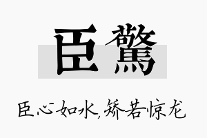 臣惊名字的寓意及含义