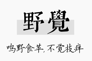 野觉名字的寓意及含义