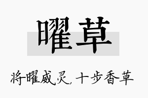 曜草名字的寓意及含义