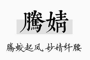 腾婧名字的寓意及含义