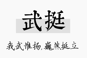 武挺名字的寓意及含义