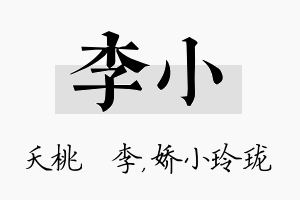 李小名字的寓意及含义