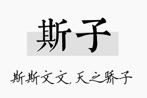 斯子名字的寓意及含义