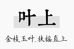 叶上名字的寓意及含义