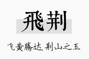 飞荆名字的寓意及含义