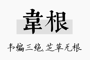 韦根名字的寓意及含义