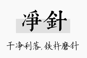 净针名字的寓意及含义