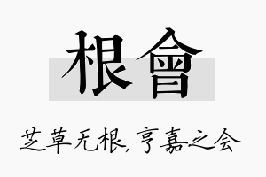 根会名字的寓意及含义