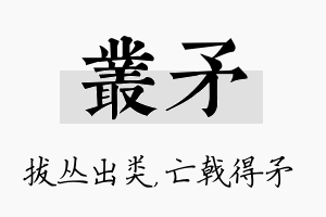 丛矛名字的寓意及含义