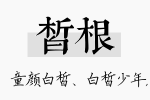 皙根名字的寓意及含义