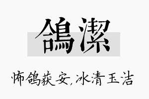 鸽洁名字的寓意及含义