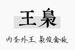 王枭名字的寓意及含义