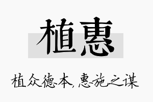 植惠名字的寓意及含义