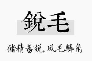 锐毛名字的寓意及含义