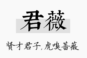 君薇名字的寓意及含义