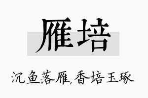 雁培名字的寓意及含义