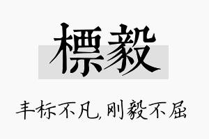 标毅名字的寓意及含义