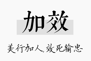 加效名字的寓意及含义