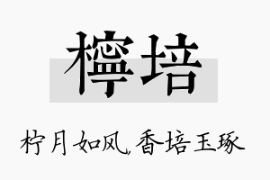 柠培名字的寓意及含义