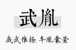 武胤名字的寓意及含义