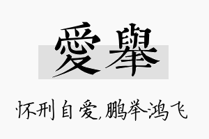 爱举名字的寓意及含义