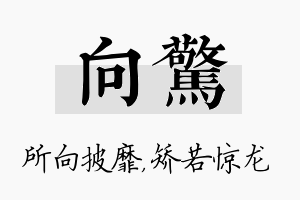 向惊名字的寓意及含义