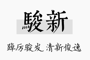 骏新名字的寓意及含义