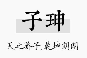 子珅名字的寓意及含义