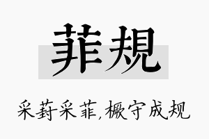 菲规名字的寓意及含义