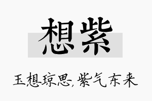 想紫名字的寓意及含义