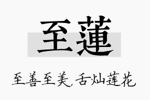 至莲名字的寓意及含义